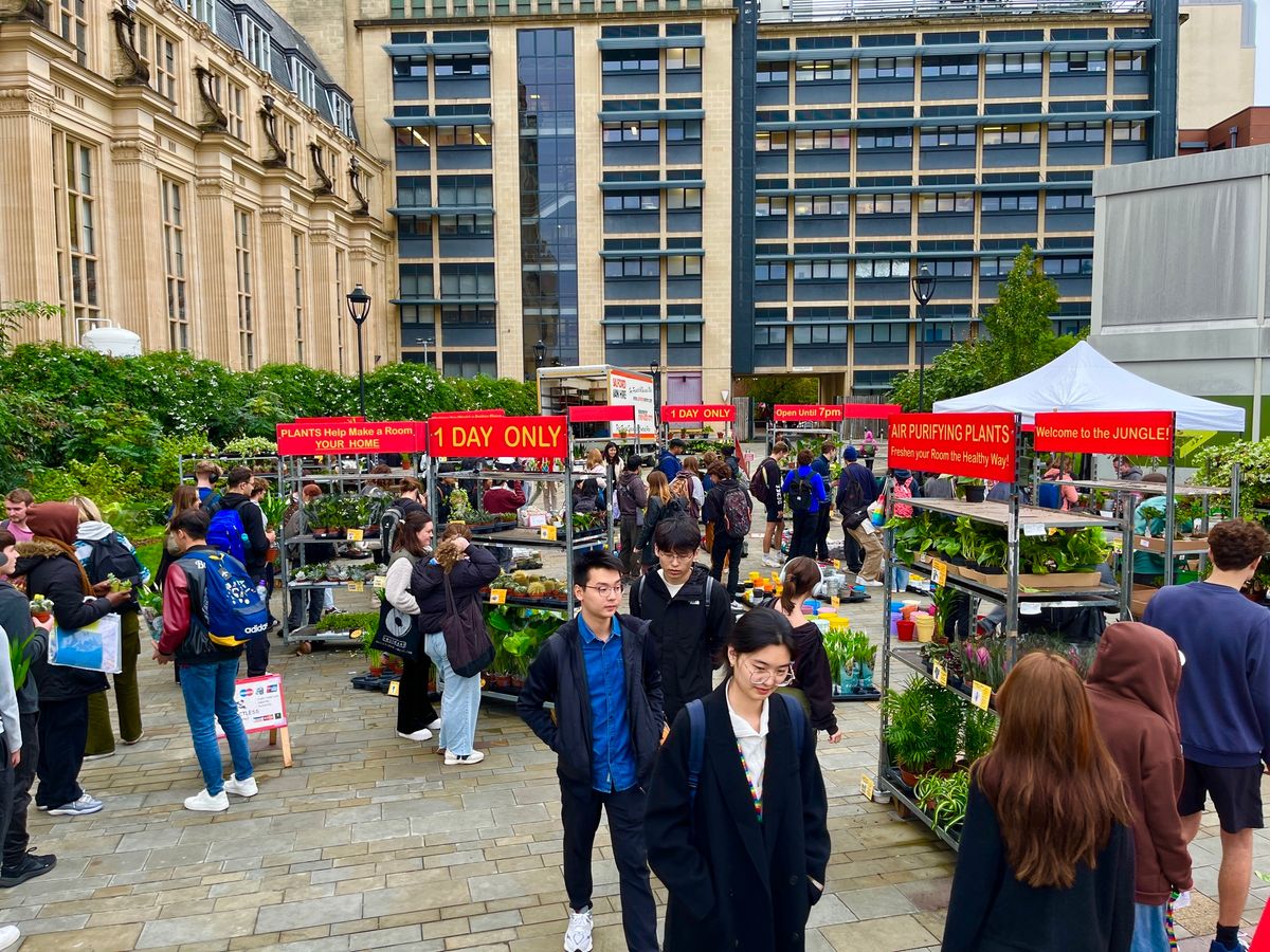 Houseplant Sale Market \/ University of Bristol 