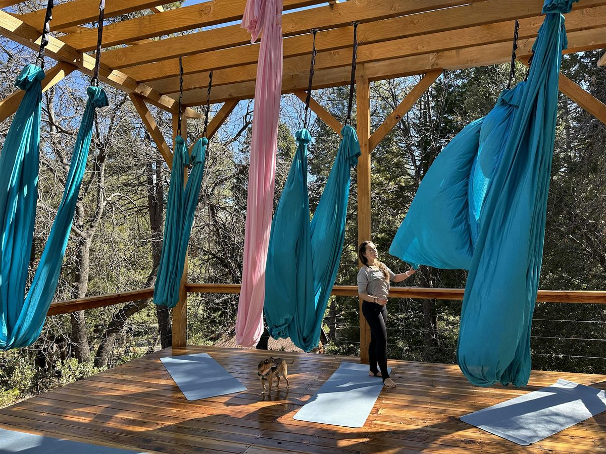 Aerial Yoga in the Pines
