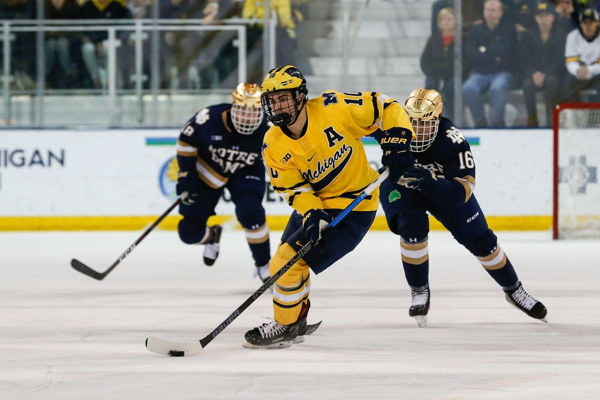 Michigan Wolverines at Notre Dame Fighting Irish Hockey