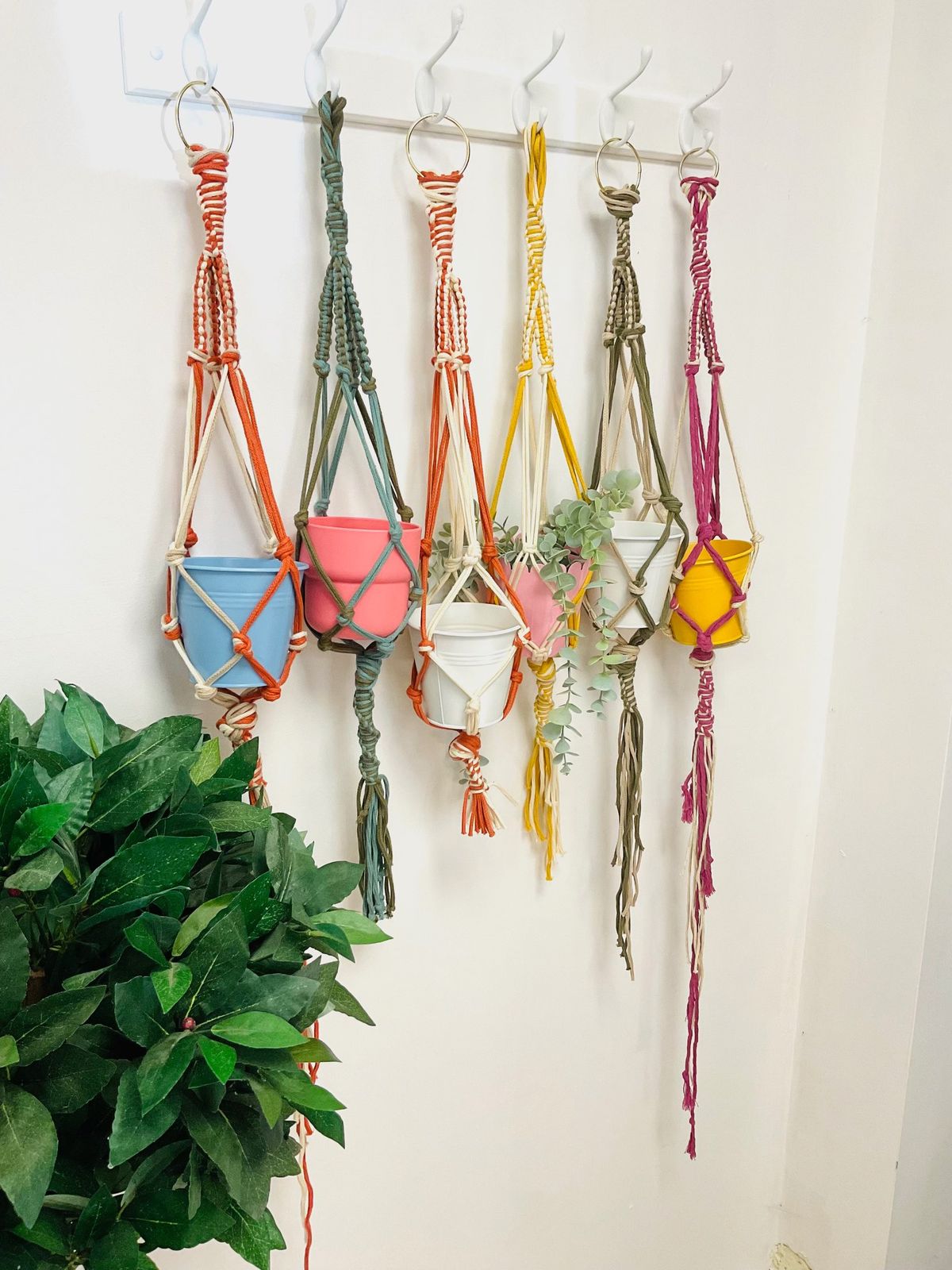 Macram\u00e9 Masterclass - Craft Your Own Chic Plant Hanger 