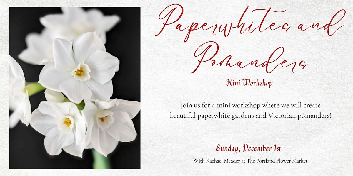 Paperwhites and Pomanders | Mini Workshop