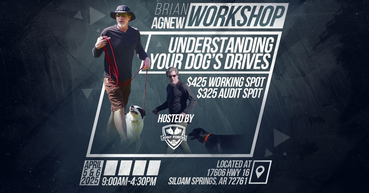 Brian Agnew Workshop