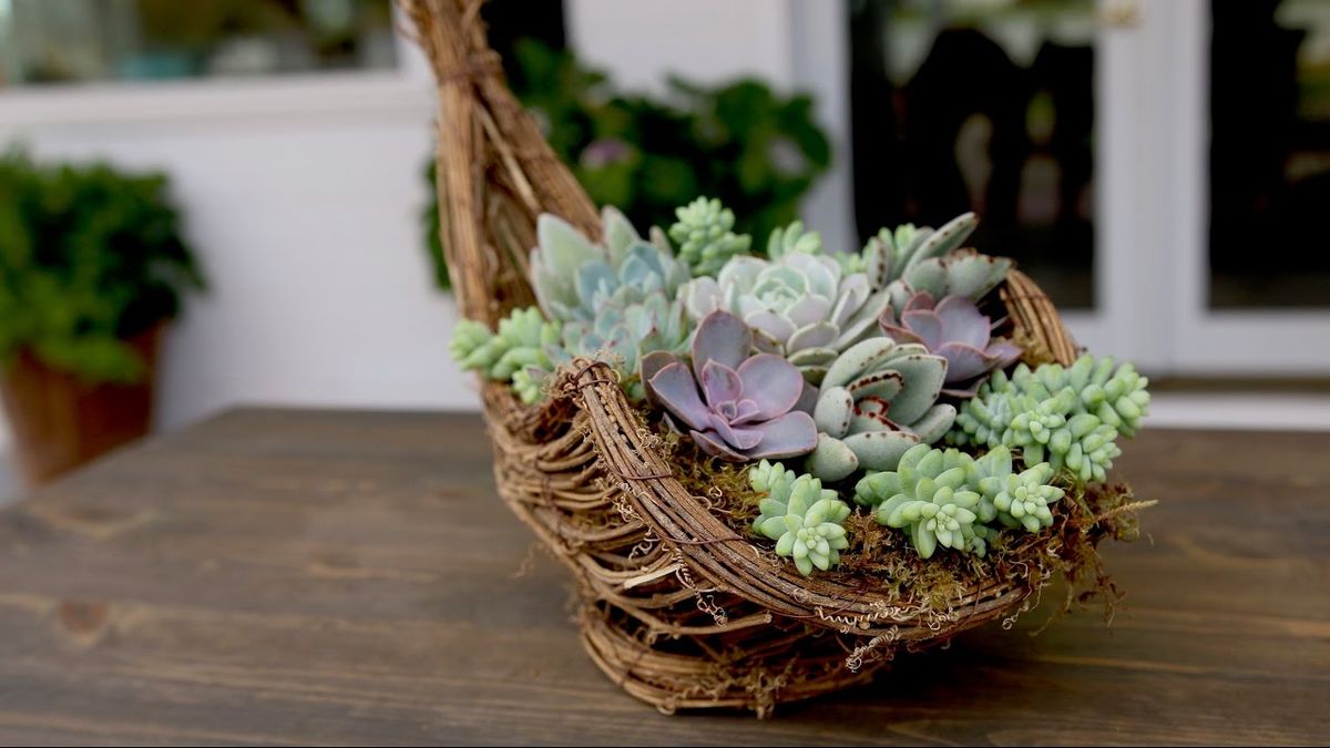 Create Your Own Succulent Cornucopia Planter Workshop