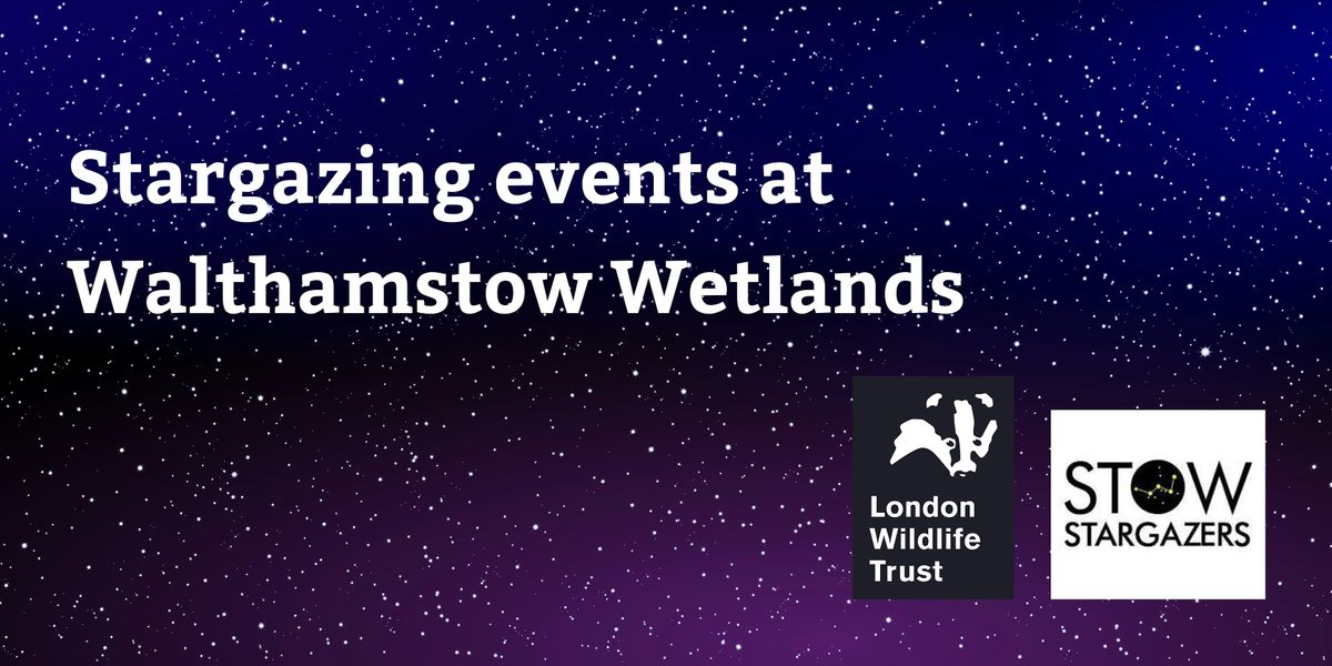 Guide to the Walthamstow Night Sky: Asteroids and Meteorites