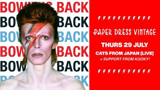 Bowie Is Back! Ft. Cats From Japan + support from KOOKY!