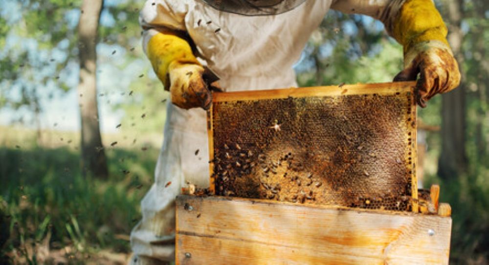 Southwestern Ohio Beekeeper School