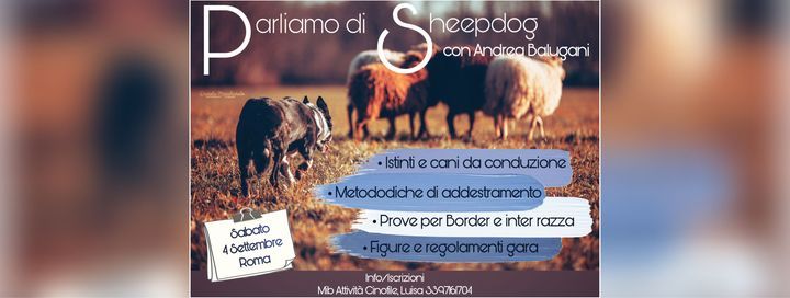Parliamo di Sheepdog con Andrea Balugani