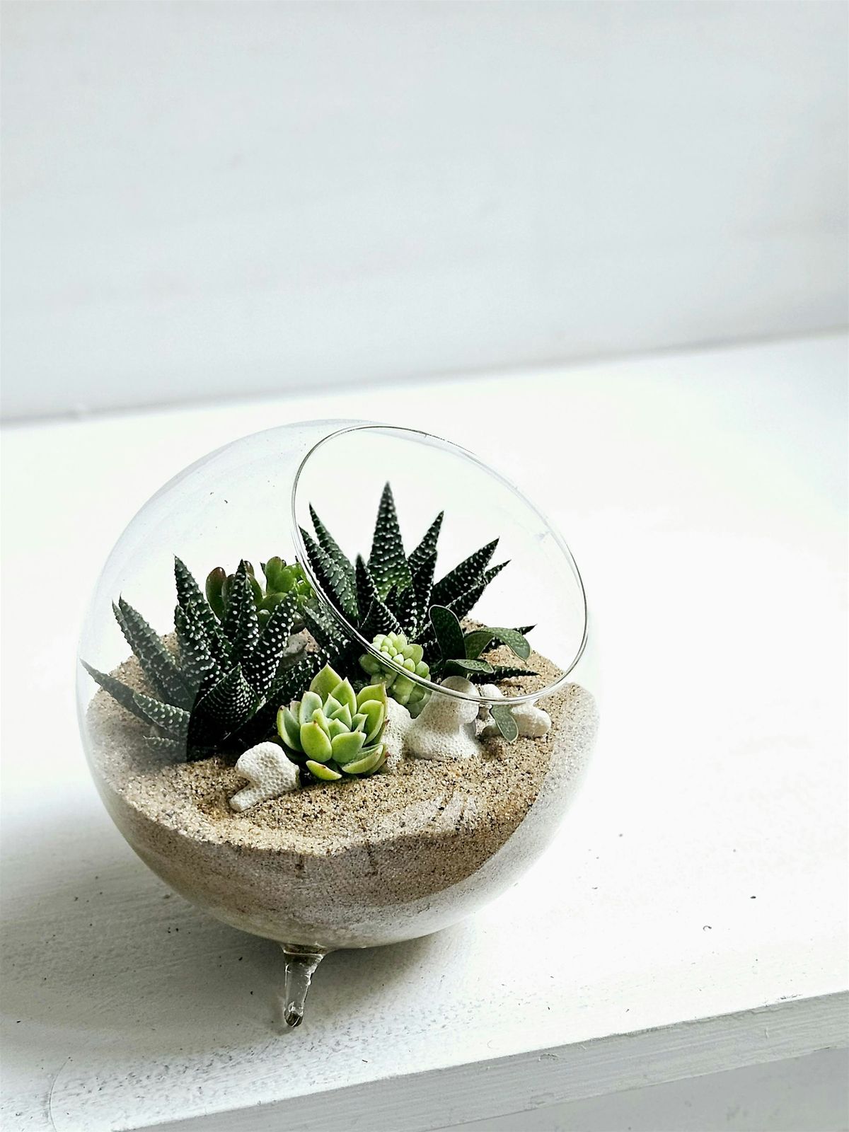 Terrarium Workshop