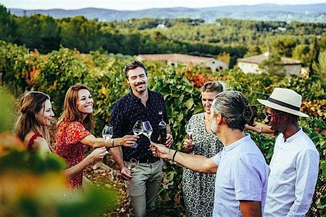 Hudson Valley Wine Vineyard Tour