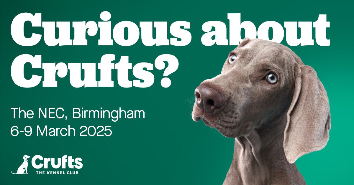 Crufts Best In Show