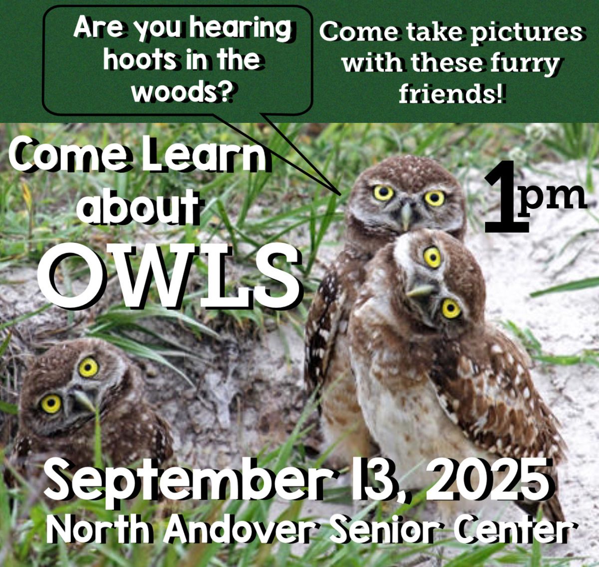 How can you help the Owls of North Andover 