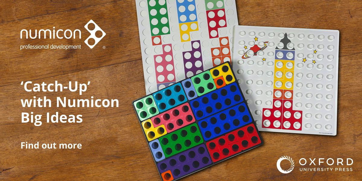 'Catch-Up' with Numicon Big Ideas Autumn 2024 (Remote Training)