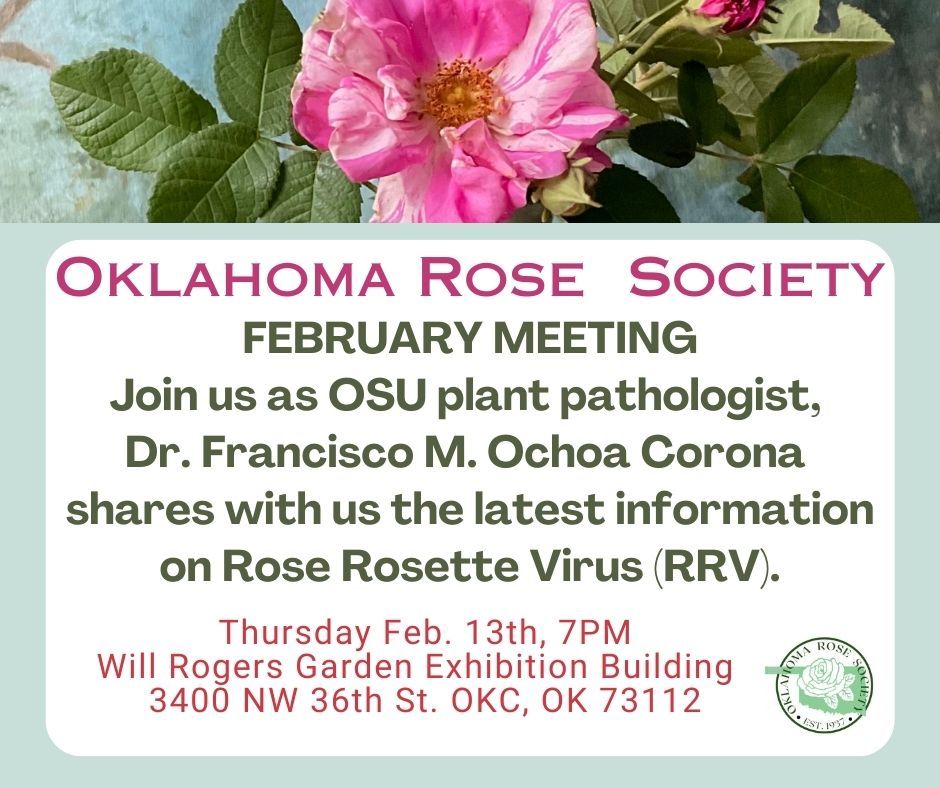 Growing Roses with Dr. Ochoa Corona