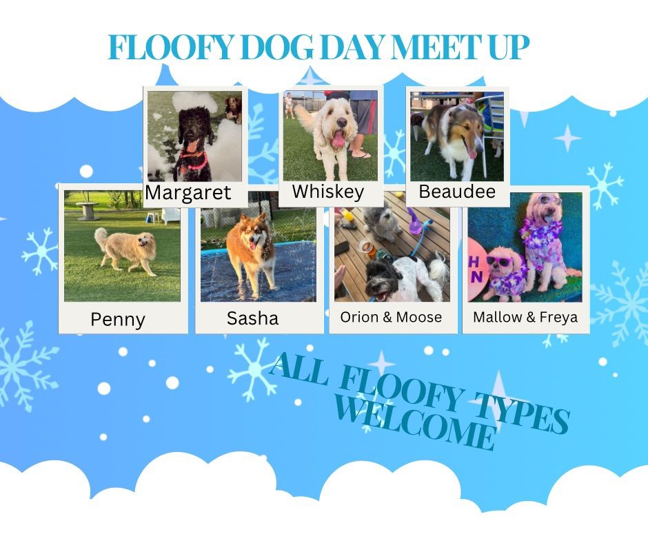 FLOOFY DAY MEET UP