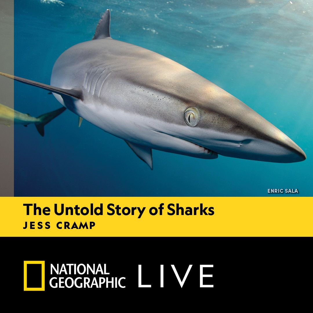 National Geographic Live: The Untold Story of Sharks - Jess Cramp