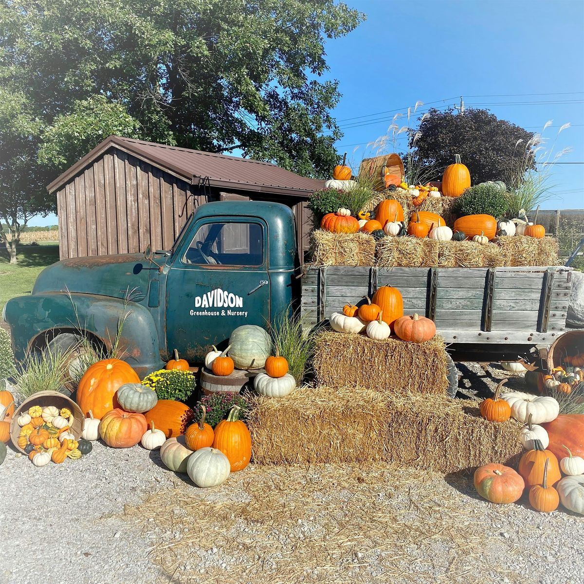 Davidson's Harvest Festival