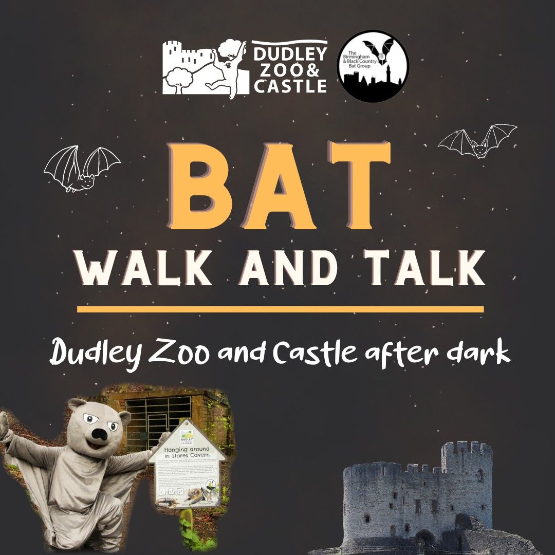 Halloween Bat Walk & Talk - Sold Out!