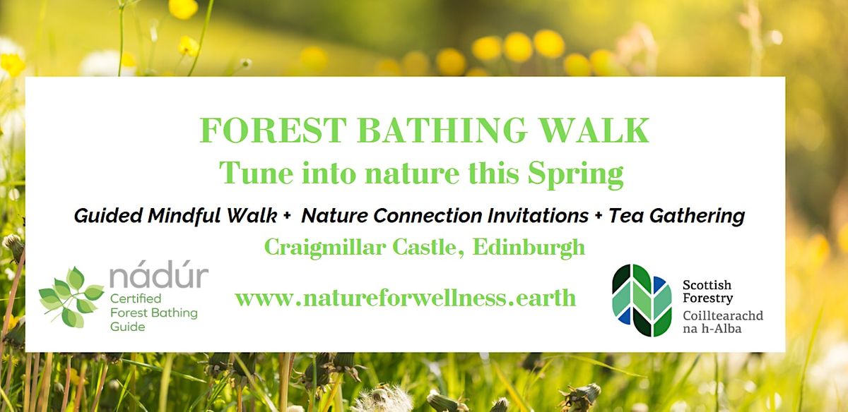 FREE SPRING FOREST BATHING WALK- Craighmillar Castle