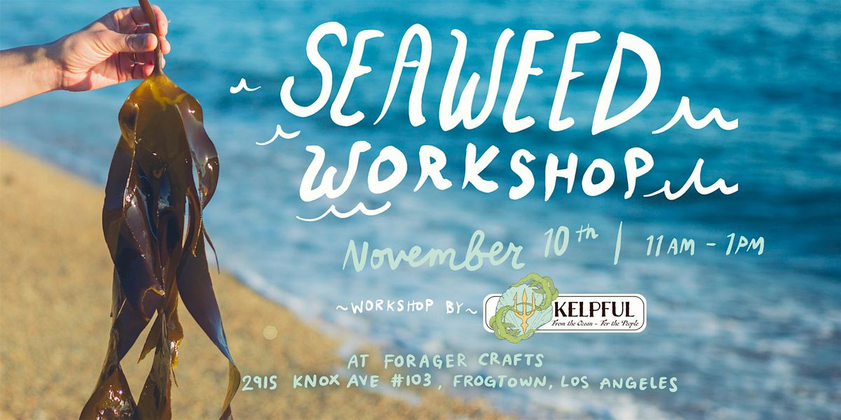 Seaweed Workshop with Kelpful