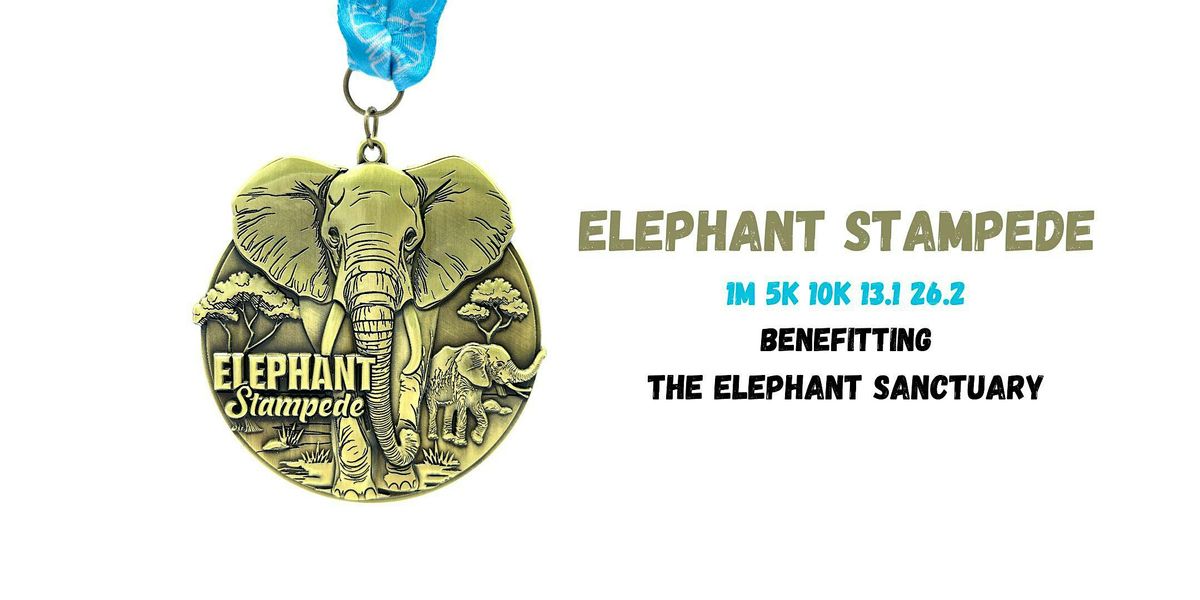 The  Elephant Stampede 1M 5K 10K 13.1 26.2-Save $2