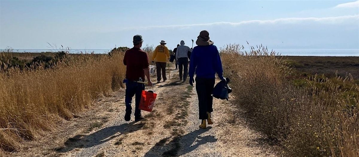 Novato Baylands Coastal Cleanup