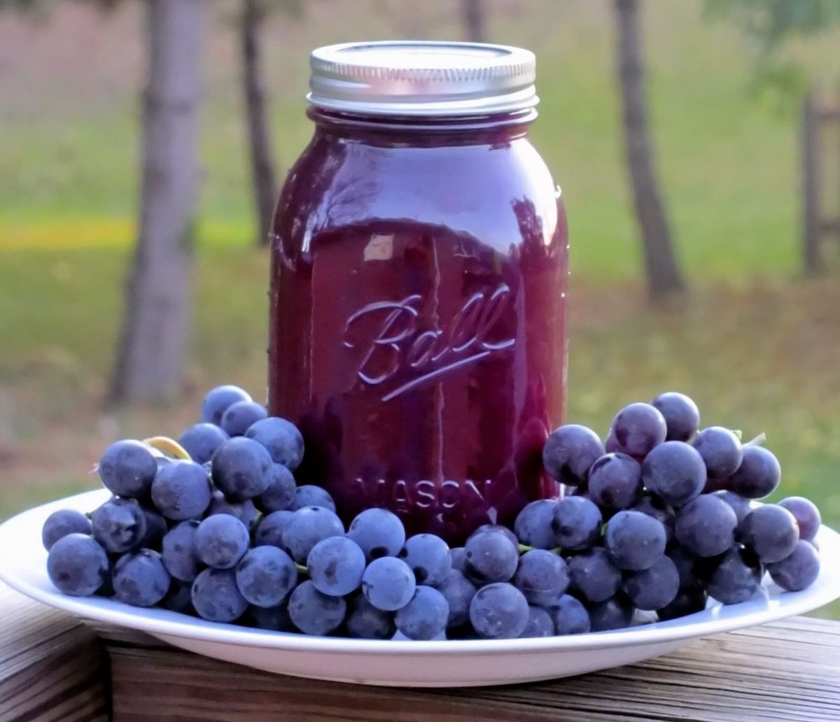 September Homesteading Workshop & Group Canning Event - Grape Juice!