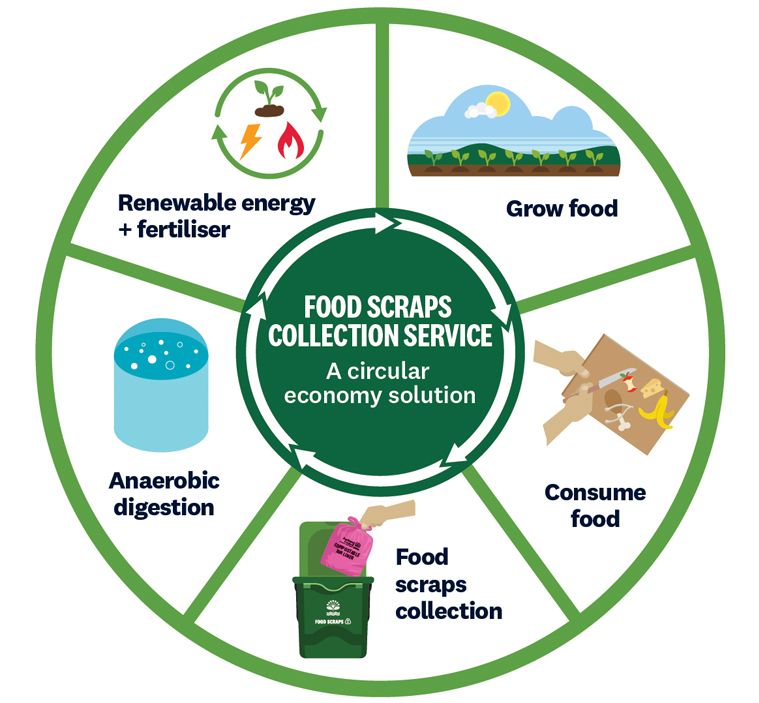 Food Scraps Collections Service's Wiser Using Food and Recycling