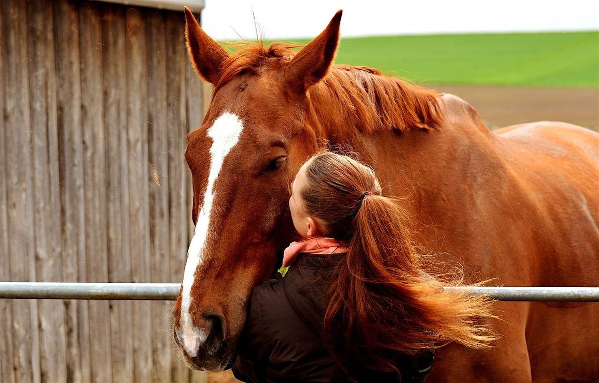 Women & Horses Wellness Retreat; Relax, Engage, Rejuvenate