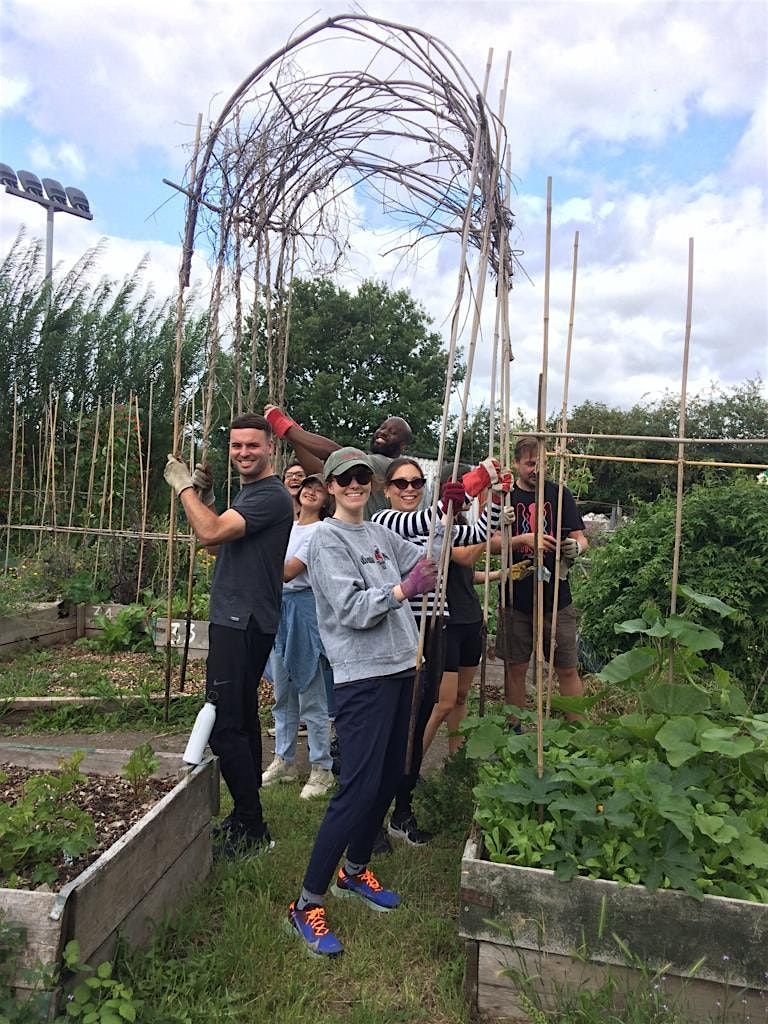 Corporate Volunteering At Harmony Gardens