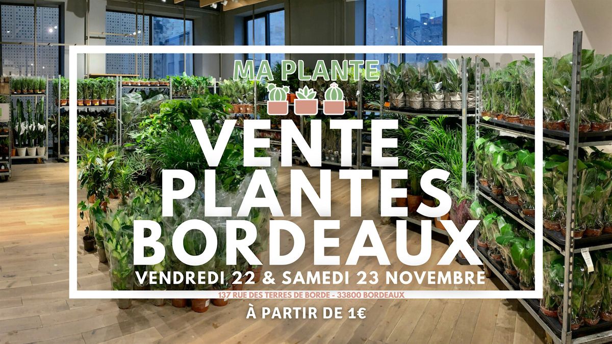 VENTE PLANTES BORDEAUX