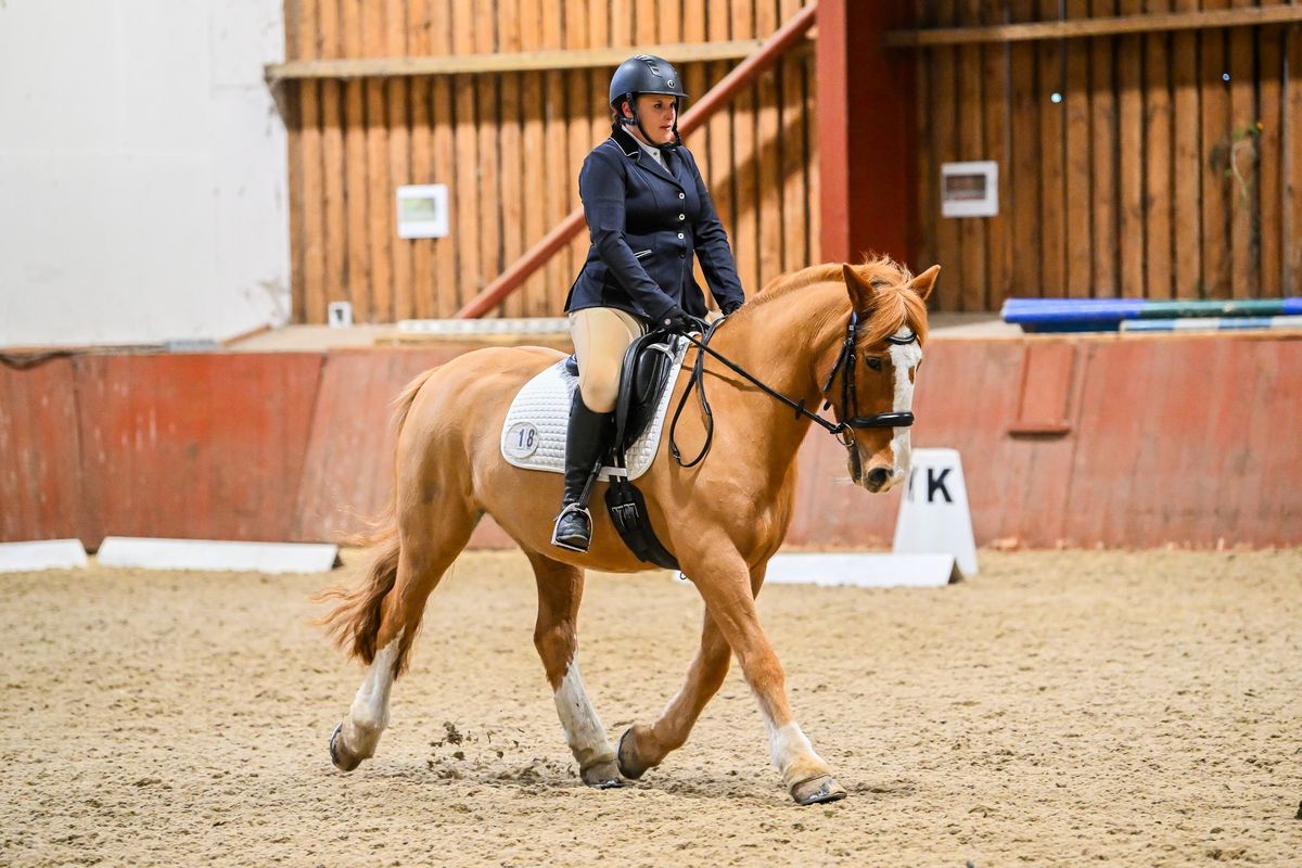 Unaffiliated Dressage, short arena, Intro-PYO 