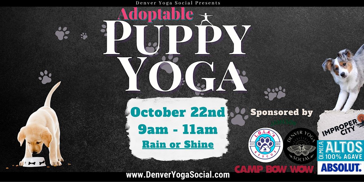 Adoptable Puppy Yoga at Improper City sponsored by Altos Jameson & Absolute