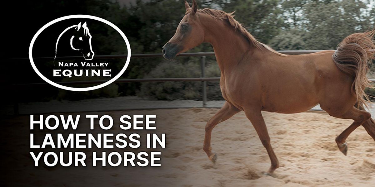 FREE Dinner Event: How to See Lameness in Your Horse