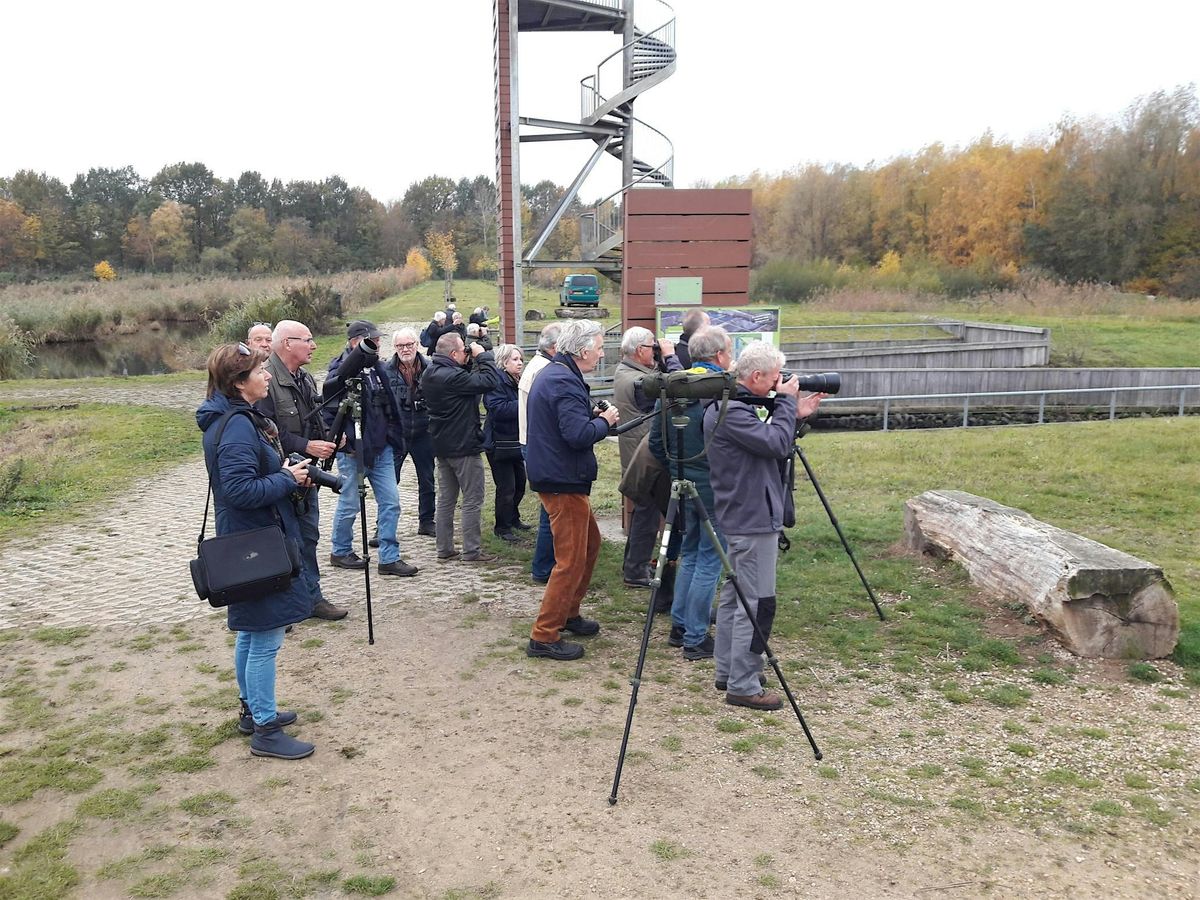 Excursie \u2018Wintervogels\u2019 in Kristalbad