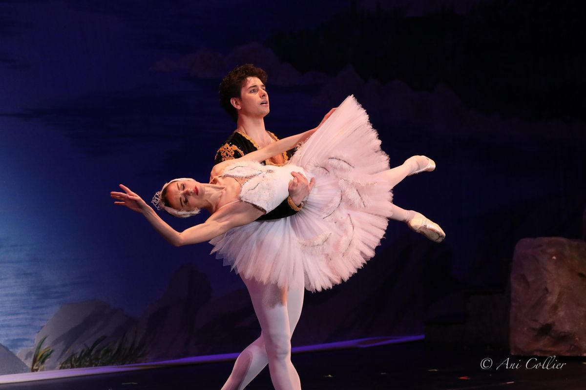 Dance Alive's Swan Lake