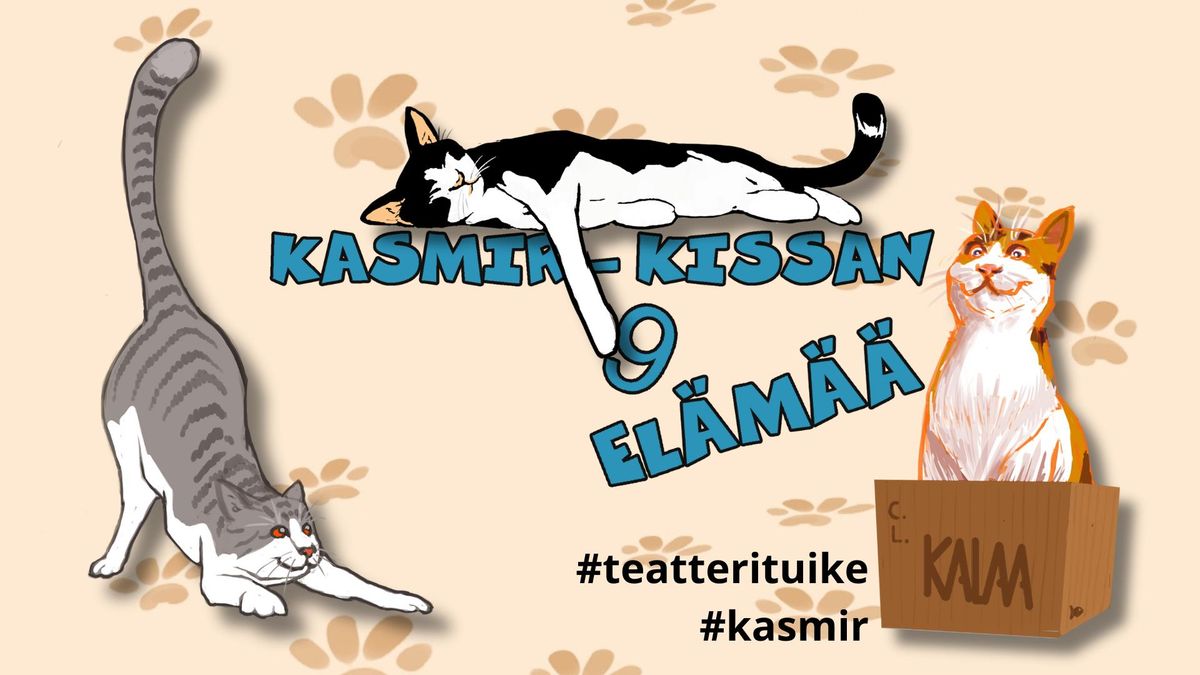 Kasmir-kissan 9 el\u00e4m\u00e4\u00e4 - koko perheen kes\u00e4n\u00e4ytelm\u00e4