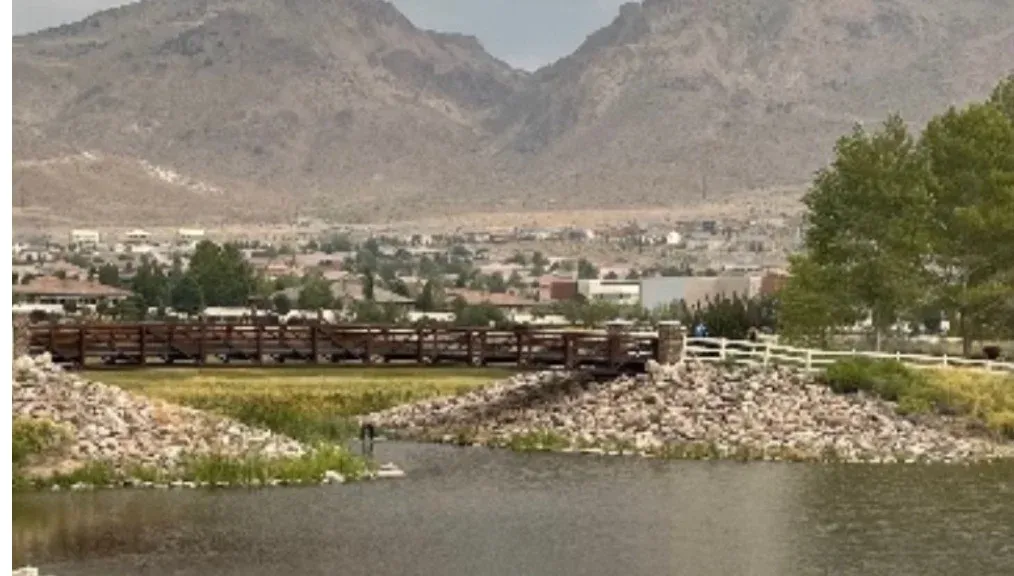 A Walk Around The Wetlands