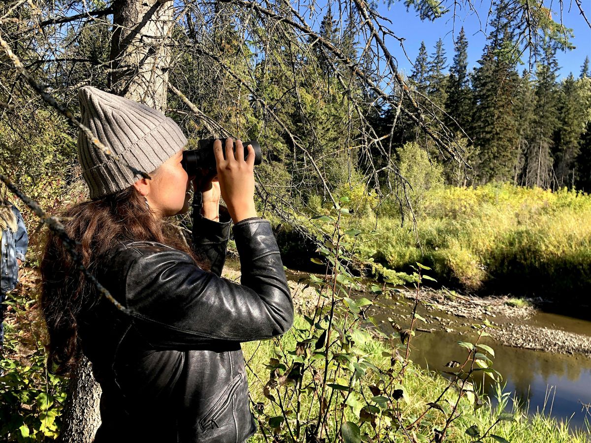 Beginner Birding White Mud Park