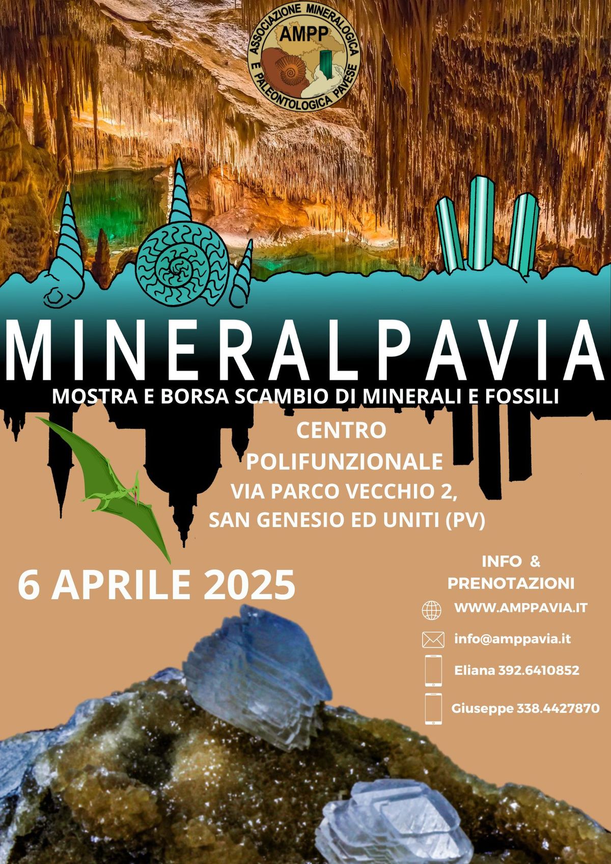 MINERALPAVIA 2025 - 8a borsa e mostra scambio di minerali e fossili