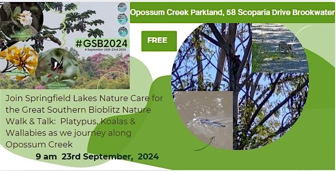 Great Southern Bioblitz Walk & Talk