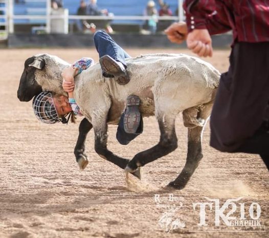 2021 Royal Gorge Rodeo Mutton Bustin, Royal Gorge Rodeo, Canon City, 17 ...