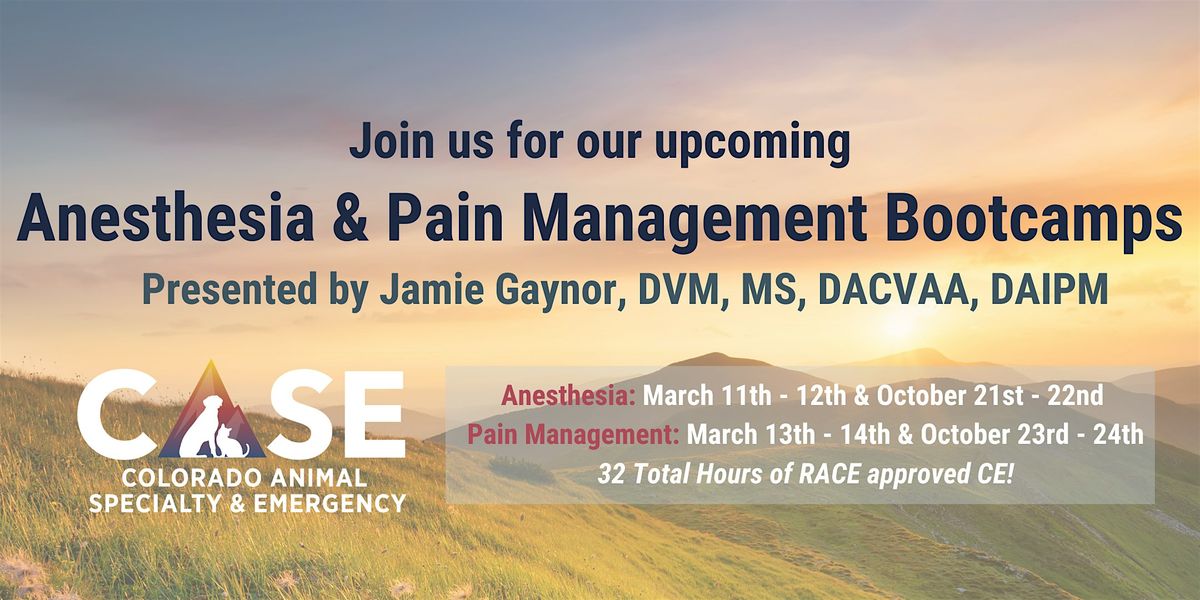 Anesthesia & Pain Management Bootcamps
