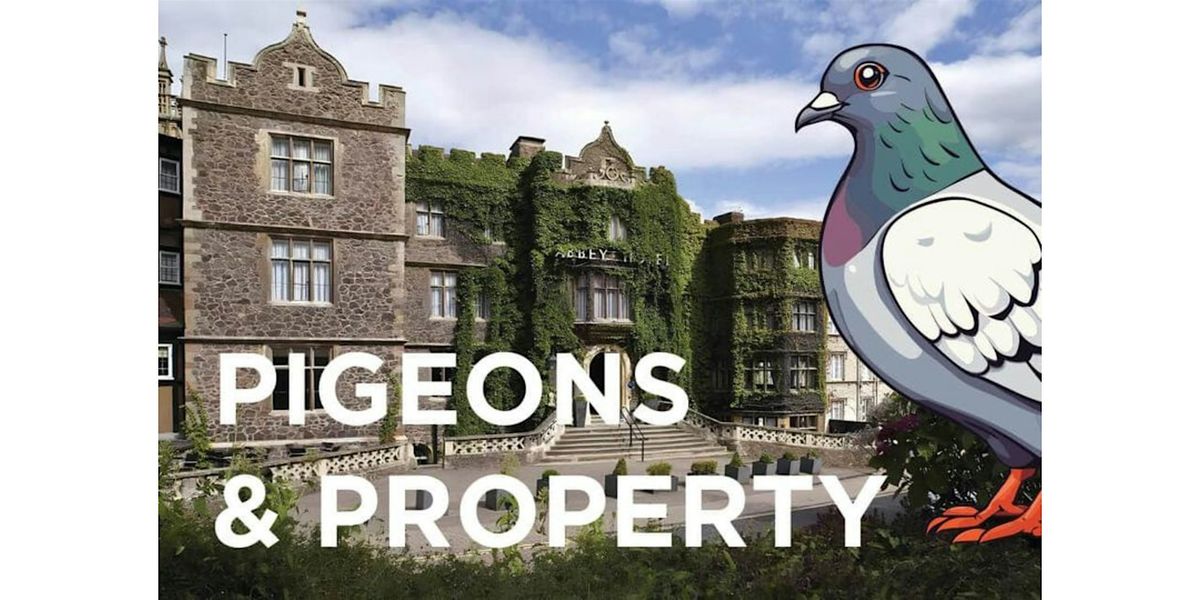 Pigeons & Property