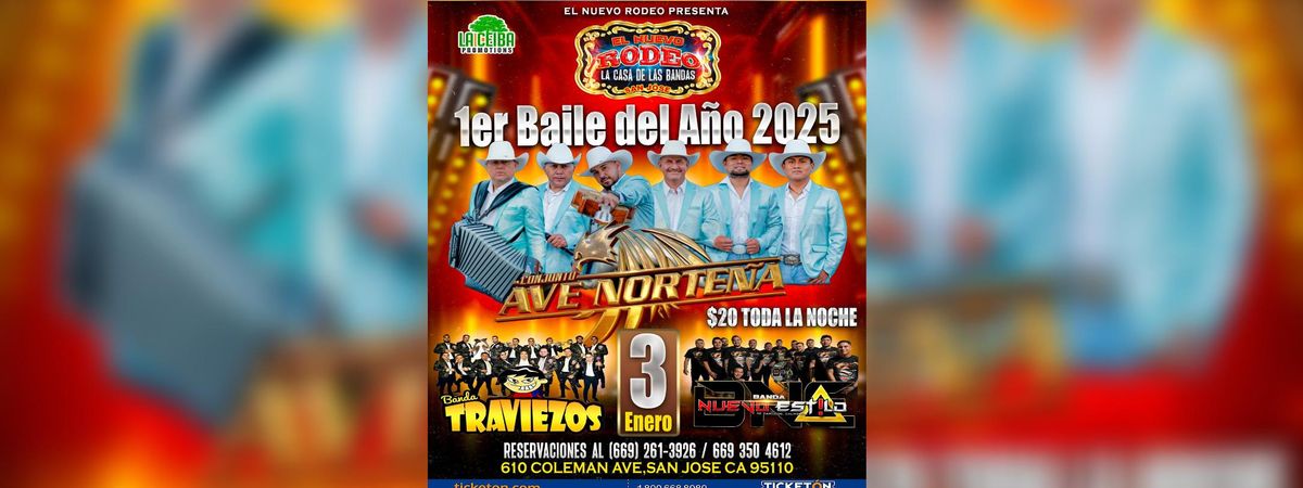 CONJUNTO AVE NORTENA Y MAS