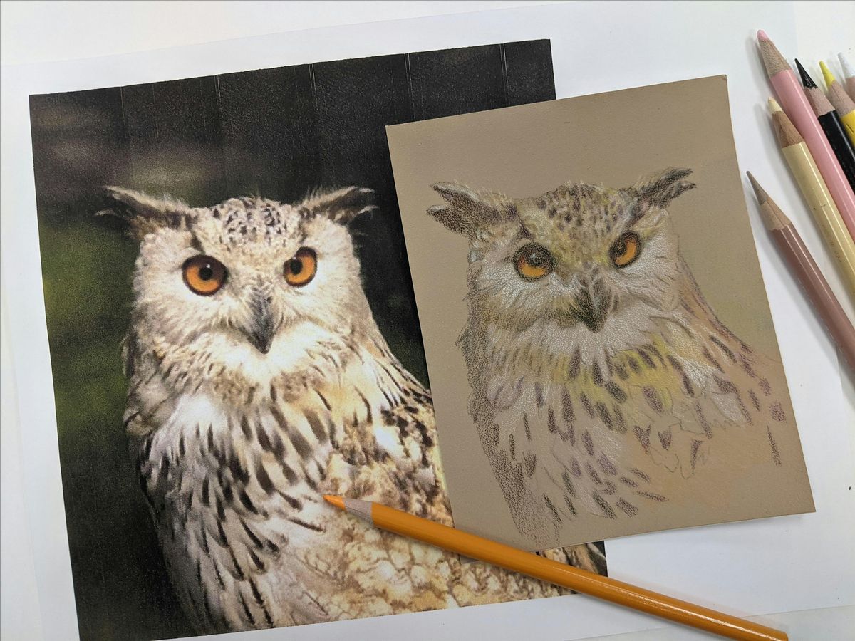 Color Pencil Techniques Birds $40 BYO Workshop