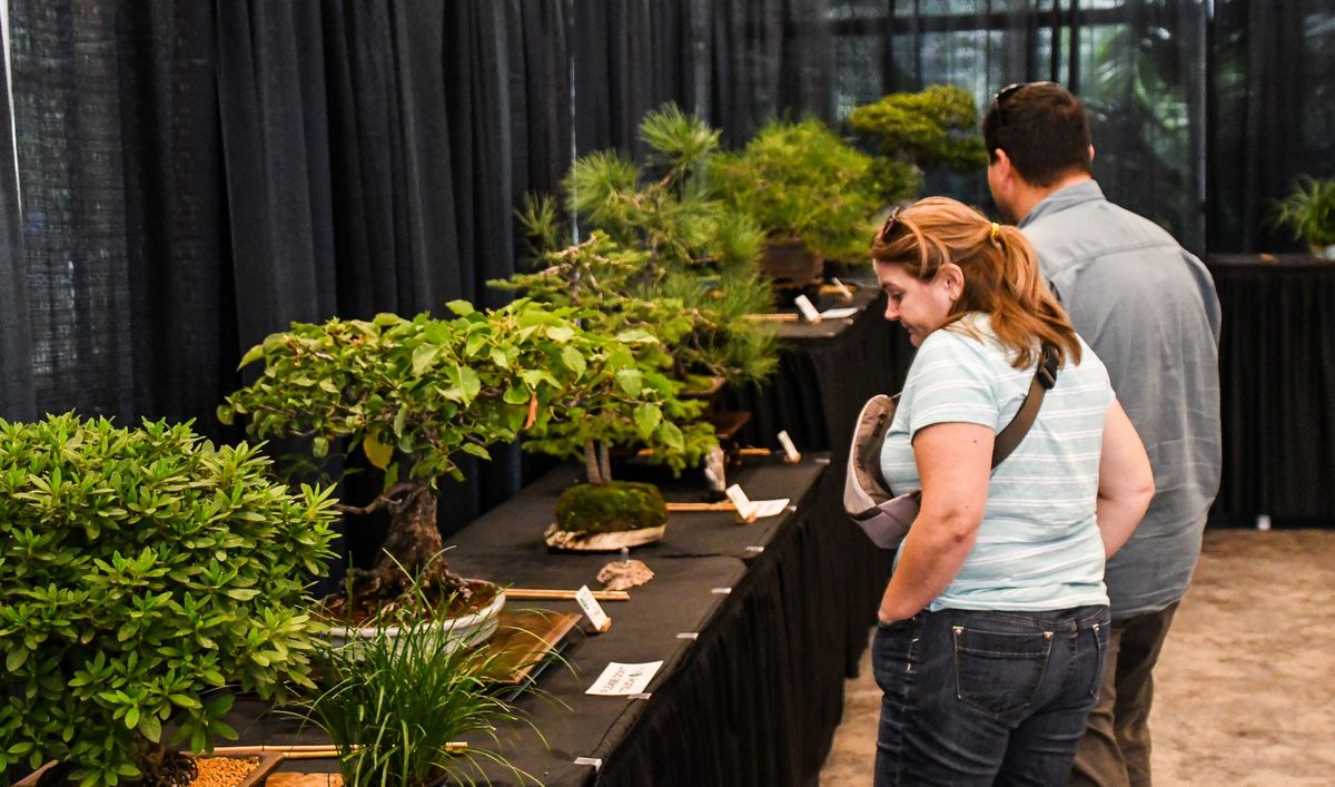 Bonsai Show