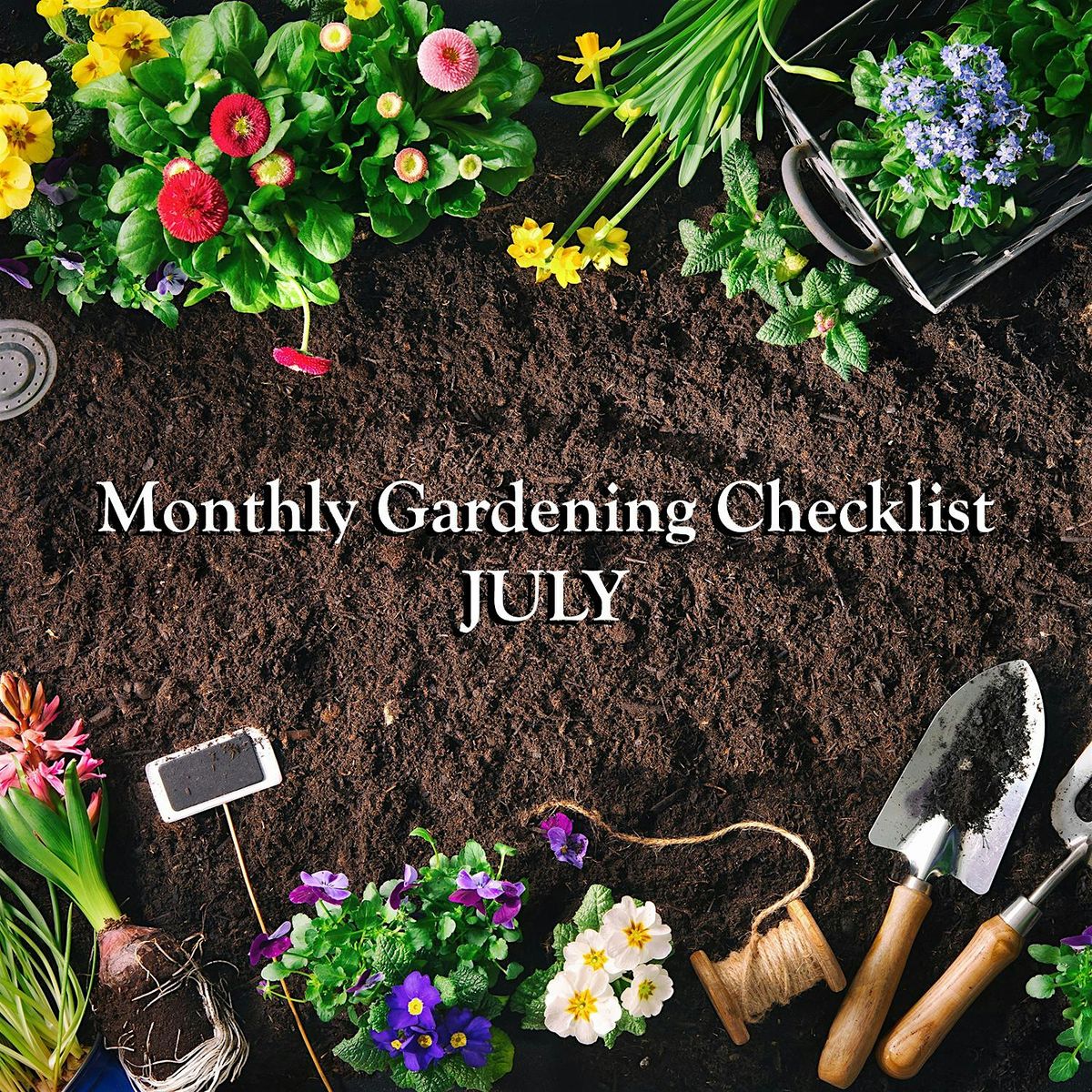 LIVE STREAM: Monthly Gardening Checklist for July with David