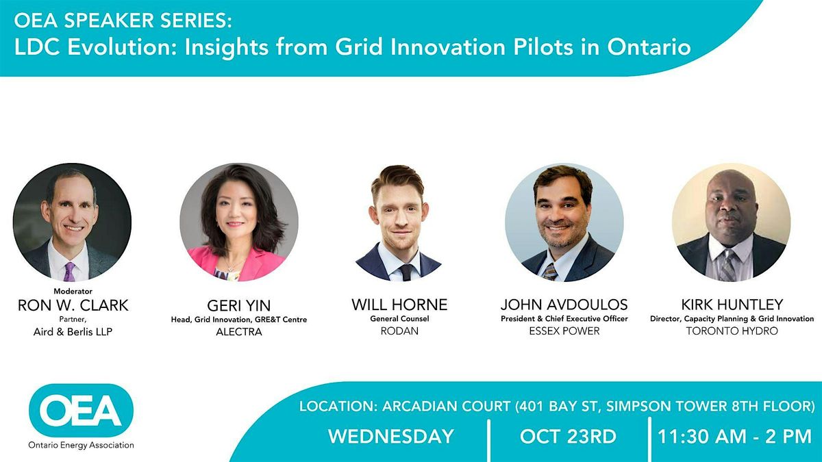 LDC Evolution: Insights from Grid Innovation Pilots in Ontario