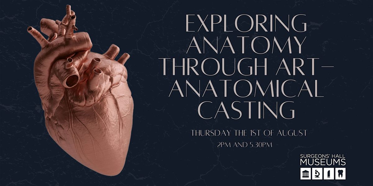Exploring Anatomy Through Art: Anatomical Casting
