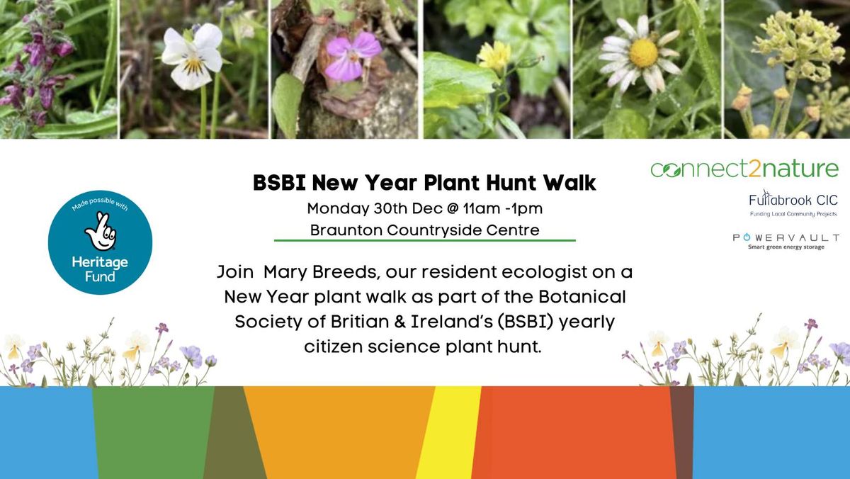 New Year's Plant Hunt 